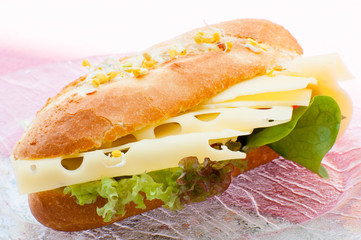 sandwich with cheese and vegetable
