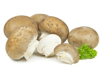 A group of fresh brown mushrooms on a white background