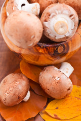 Mushrooms: Champignons