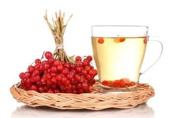 tea with red viburnum isolated on white