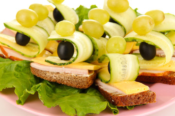 Canapes on plate close up