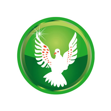 12 Days of Christmas