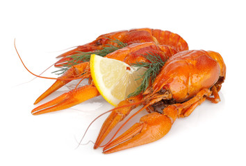 Boiled crayfishes with lemon slice and dill
