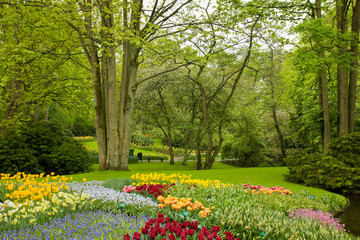 spring garden Keukenhof, Holland