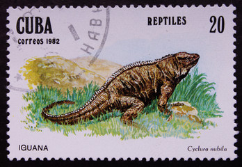 Postage stamp