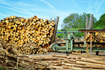 Sawmill (lumber mill)