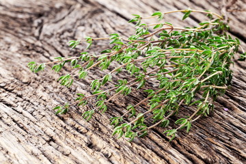 Thyme herb.