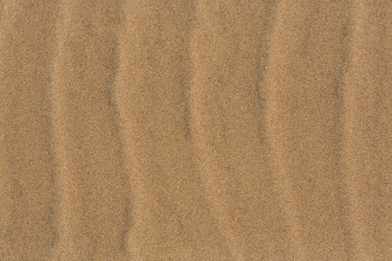 Fototapeta na wymiar Désert de sable Namibien