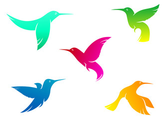 Flying color hummingbirds