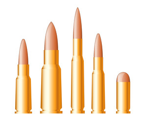 Set of gun bullets and ammunition