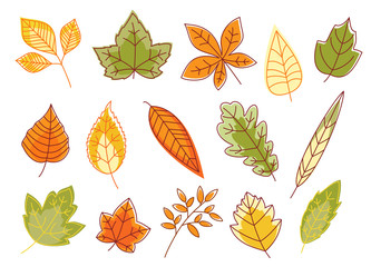 Autumnal colorful isolated leaves