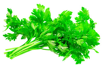 Fresh parsley on white background. Isolated