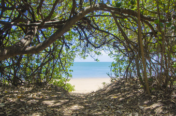 フレイザーコート　オーストラリア