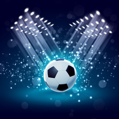 Fototapeta premium black and white soccer ball