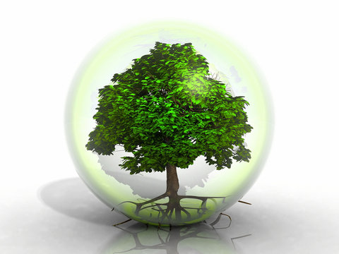 a green tree in a transparent bubble