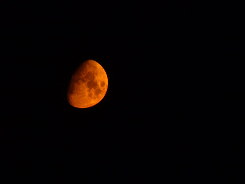 Luna Rossa