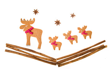 Decorated homemade gingerbread cookies