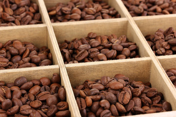 Coffee beans in wooden box close-up