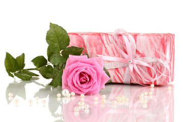 Beautiful pink rose with wonderful gift in pink box isolated