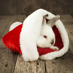 Obraz na płótnie Canvas Christmas Card with White Rabbit on Wooden Background