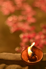 Indian/Pakistani Wedding Decoration