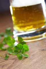 clover and beer