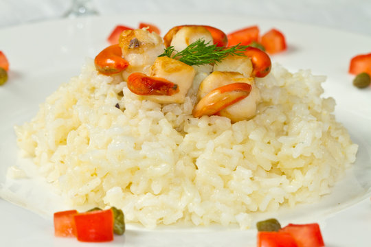 risotto with grilled scallops