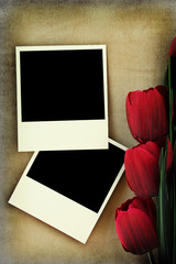 Polaroid frame and tulips on vintage background
