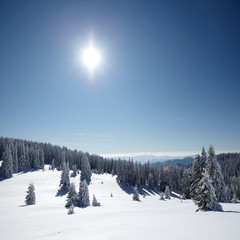 Fototapeta premium Winter landscape