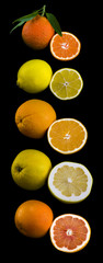 Citrus Fruits Collection