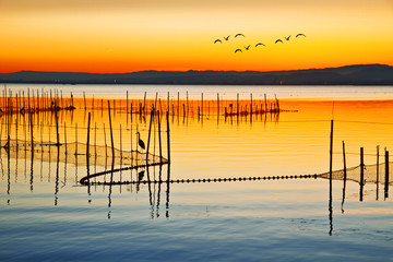Fototapety  el paraiso de las aves
