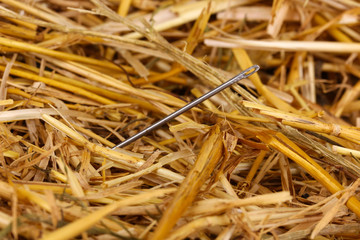 Needle in a haystack close-up