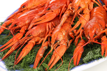 Tasty boiled crayfishes with fennel on plate close-up