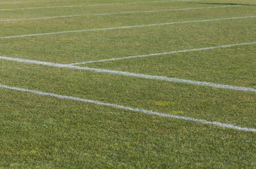 Obraz premium Football field