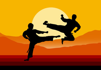 Fototapeta na wymiar taekwondo - 5