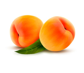 Rpe peach isolated on white. Vector illustration