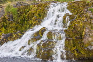 Fototapeta na wymiar Waterfall - Westfjords, Islandia.