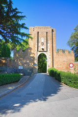 Albornoz rocca. Orvieto. Umbria. Italy.