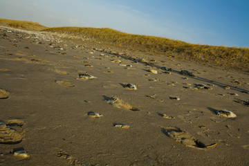 Fußspuren am Strand