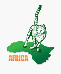 African cheetah © murphy81