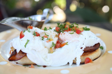 egg benedict