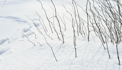 Landscape during winter