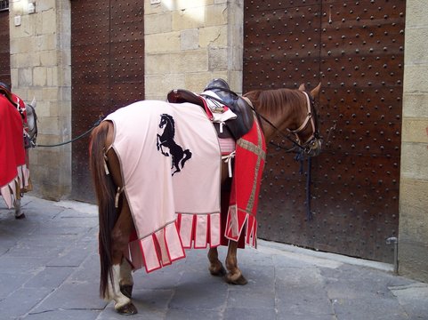 Cavallo da parata