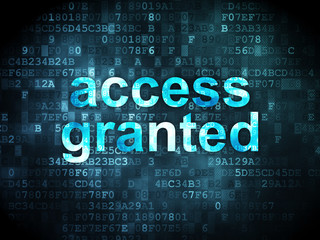 Fototapeta premium Information concept: access granted on digital background