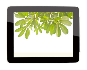 Green leaf in tablet on  isolate background
