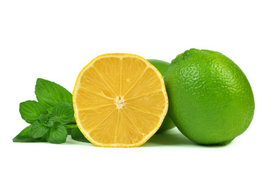 Lemons and Limes with mint leaves