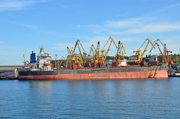 Fototapeta premium Bulk cargo ship under port crane bridge, Odessa, Ukraine