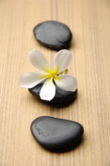 Fototapeta na wymiar zen stones with frangipani flower arranged on bamboo board