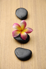 Fototapeta na wymiar frangipani flower with pebble on bamboo mat