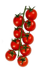 Cherry tomatoes on vine © Arena Photo UK